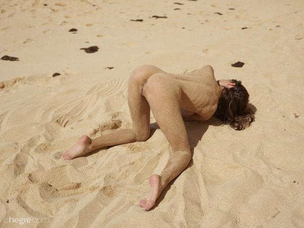 Anna L 뿔의 과 모래의 #23